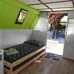 U Krokodila
