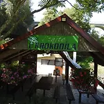Vakantiehuis U Krokodila