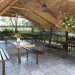U Krokodila